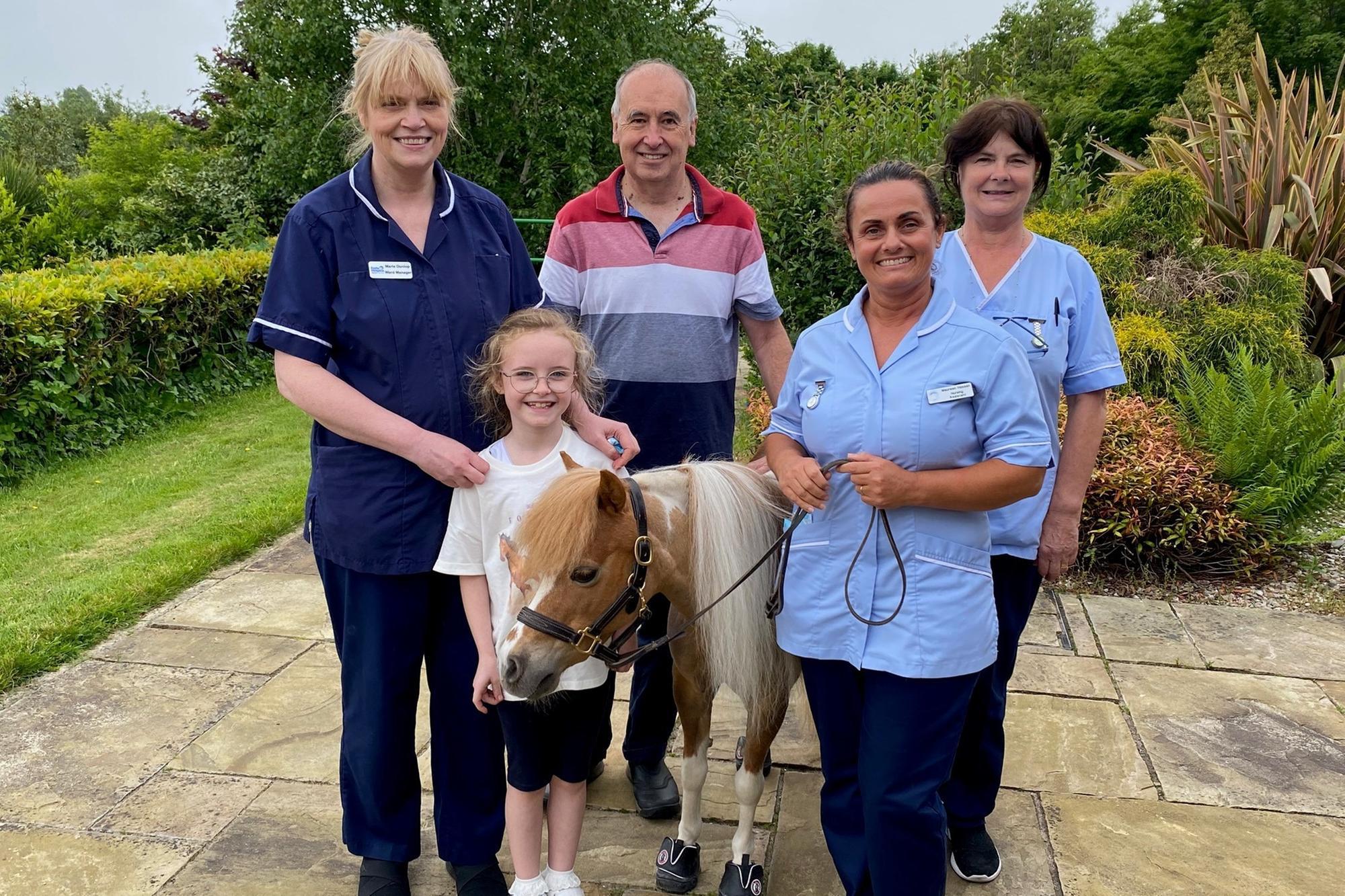 American miniature therapy horse is a Star turn at Foyle Hospice in Derry - Vimarsana News