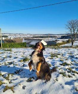 Lily catching snowballs.