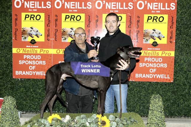 The Len McKinney & Track Lotto Consolation 525 Derby Final winner Coologue Roger with Patsy Doyle who made the trophy presentation to Peter Farrell.