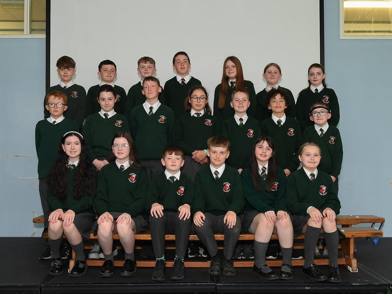 Mr Martin’s P7 class at Greenhaw Primary School.