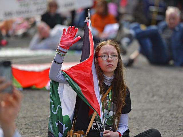 Supporter at the Freedom for Palestine march and rally on Saturday afternoon. Photo: George Sweeney