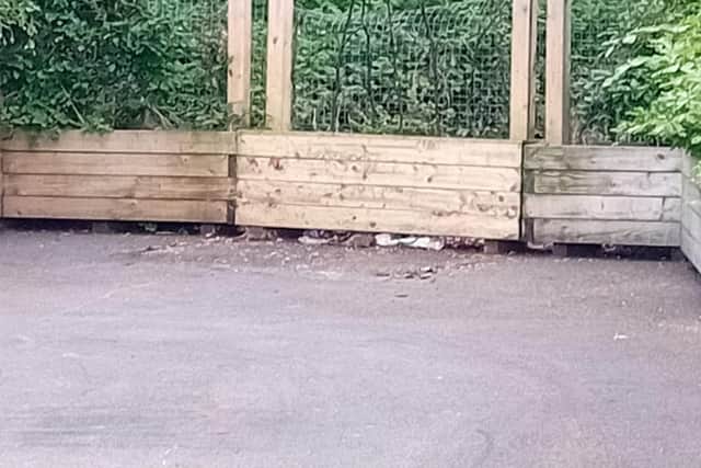 Brown rats feeding on rubbish at the parklet on Meadowbank Quay on Thursday morning.
