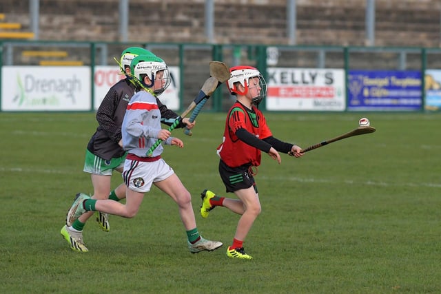 Young hurlers from Doire Trasna and Faughanvale in action during the interval in the Derry v Tyrone Division 2 Final.  Photo: George Sweeney