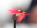 A fishing fly.