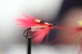 A fishing fly.