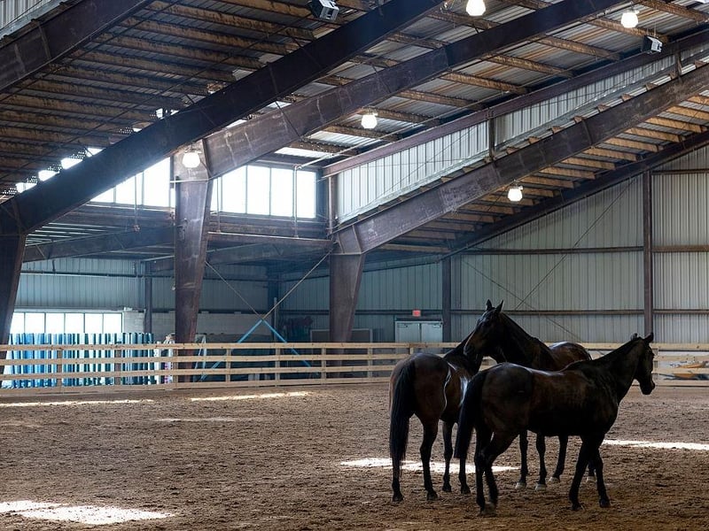 Sheriff's Mountain Stables Summer Camp will take place every Tuesday, Wednesday, and Thursday from 10 am to 2 pm throughout July and August. (Photo by Anna Moneymaker/Getty Images)
