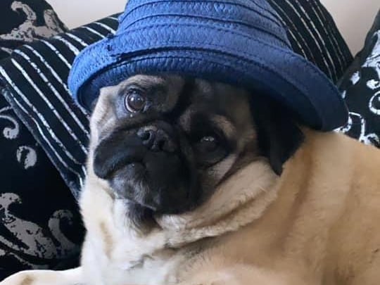 Charley