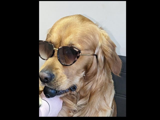 Cooper
