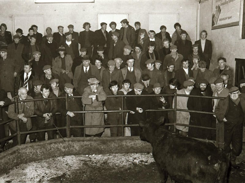 Farmers gathered at the Carndonagh Mart in Inishowen.