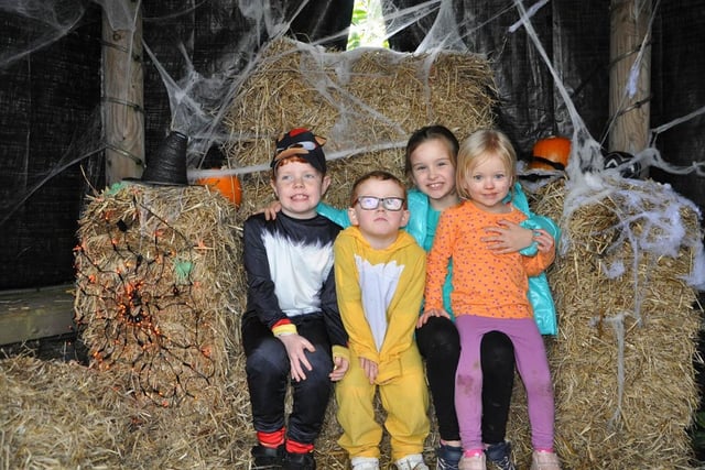 Having Hallowe'en fun at the Ráth Mór Revival Free Hallowe’en Pumpkin Patch