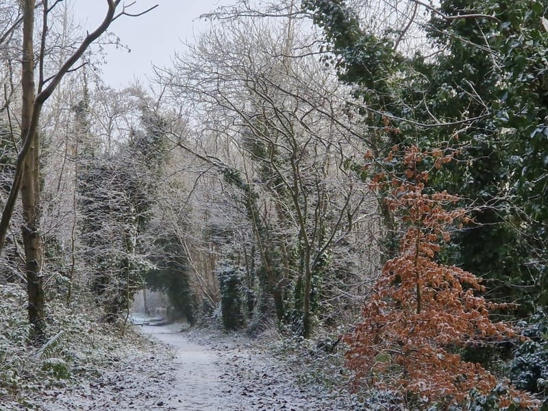 Derry in the snow.