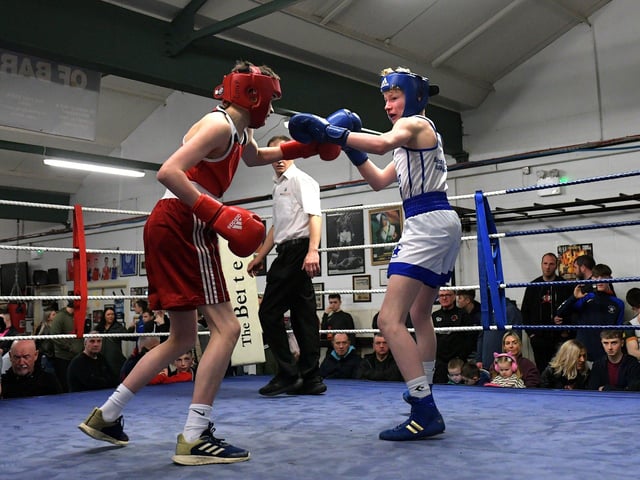 Michael McAleer, The Loup, left, boxing Oran Devine of Star of the Sea. Photo: George Sweeney