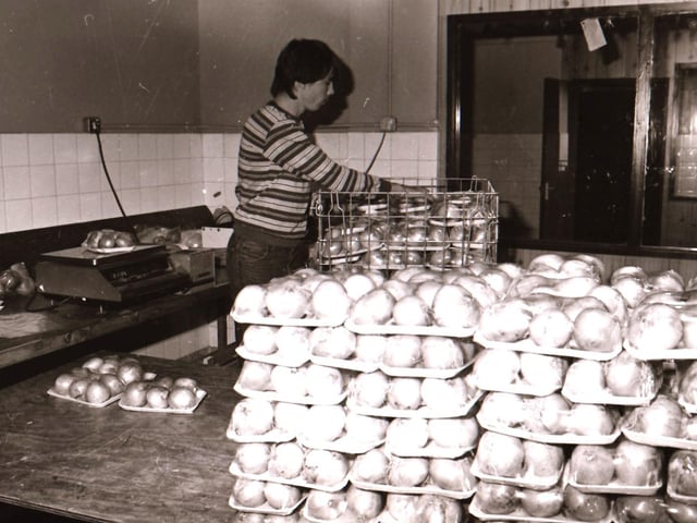 40 years ago: 1984 Quigg's Fruit Store at Springtown in Derry.