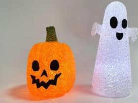 A product recall has been issued for the Poundland 'Creepy Town' Light Up Ghost & Pumpkin Halloween decoration.