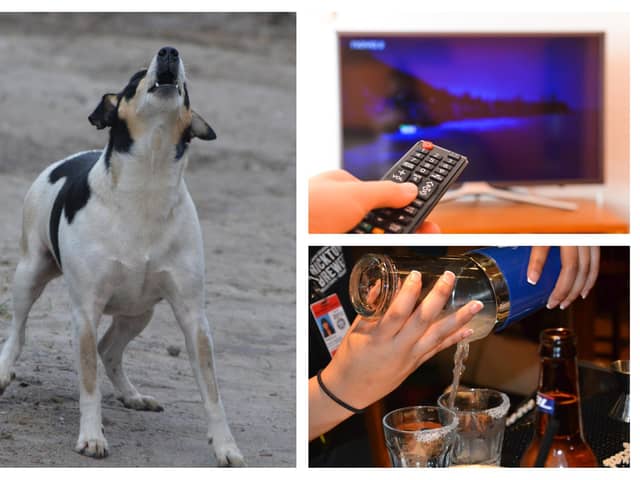 Animal noise, loud televisions and house parties make the list. (File pictures)