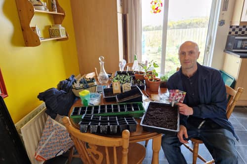 Different seeds may have very different requirements to get them to germinate.