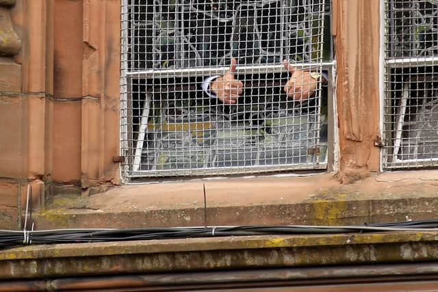 Family members of the victims of the Bloody Sunday shootings give the waiting crowd a 'thumbs up' sign from inside the Guildhall after reading a preview of the findings of the Saville Report before David Cameron's announcement to the Commons on June 15, 2010.