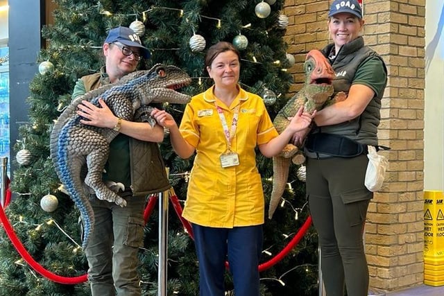 Cathy Grady with Roar Dinosaur Team