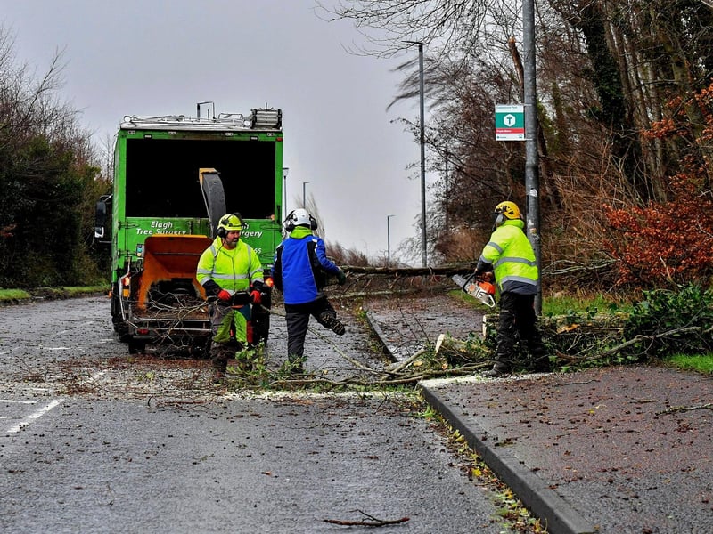 Removal of fallen tree from Creggan Road. Photo: George Sweeney