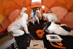 The excavation of the 'bog body' in Bellaghy