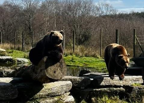 Two day Summer Camp for Conservationists of the Future. Ages 7-13. The camp is a two day experience where children learn what it takes to be an animal keeper or a conservationist. Priced at €79.95. Dates for the camp include 22 July - 23 July, 29 July - 30 July, 12 August - 13 August, 19 August - 20 August.