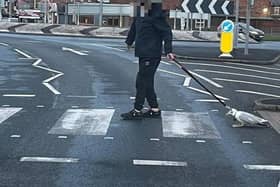 The man was seen walking the gull with a dog lead in Bispham on Monday, April 10. Pic credit: Alexander Faulkner