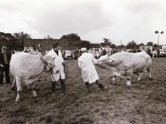 Inishowen Agricultural Show at Tul Na Rí, Carndonagh.