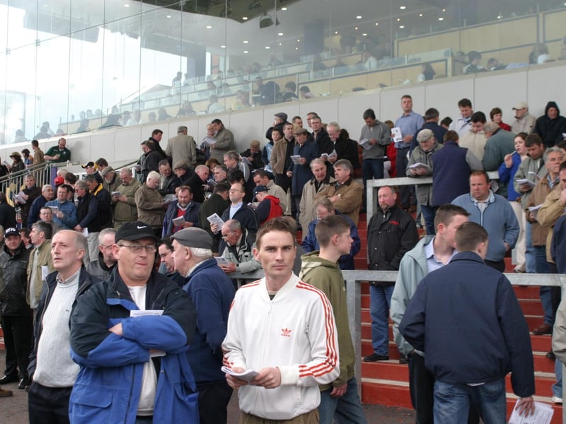 The Lifford Races.