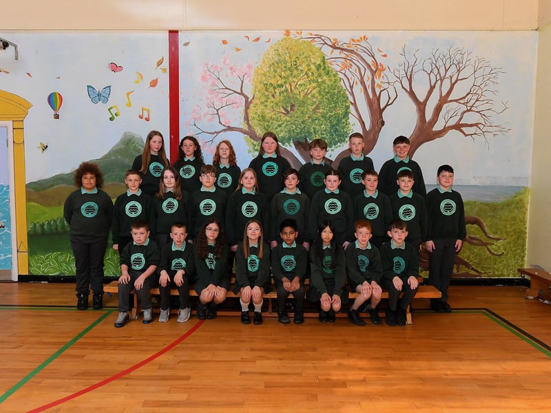 Mrs Laverty’s P7 class at Oakgrove Integrated Primary School.