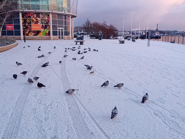 With the cold weather continuing Derry woke to a blanket of white on Thursday morning and the riverfront took on the aspect of a winter wonderland.