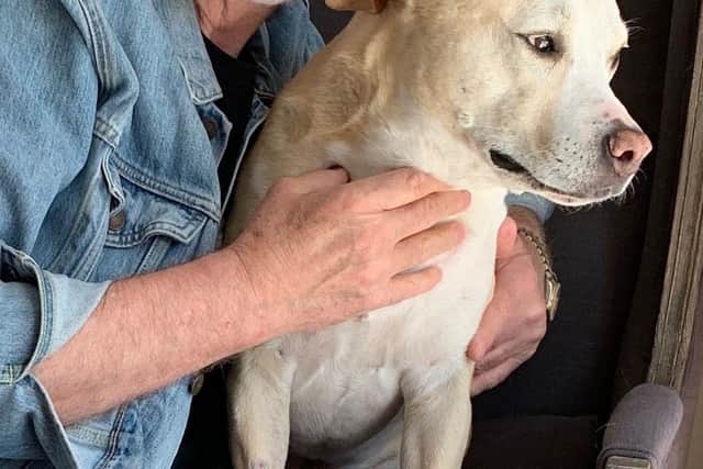 Peter Egan with his beloved rescue dog Pippa, who sadly passed away this year - Animal News Agency