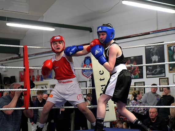 Oakleaf’s Sean Magee, on the left, boxing Springtown’s Dillon Dunn. Photo: George Sweeney