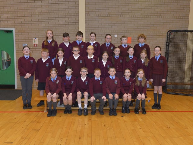 Mr Mullan's P7 class at St. John's Primary School.