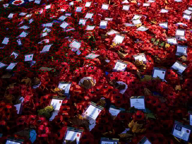Poppy wreaths (file picture). Photo by NIKLAS HALLE'N/AFP via Getty Images