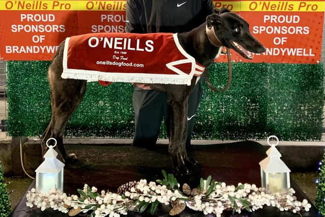 Ratchies Diaz who won the first race, the O’Neills Sprint in 17.04 with owner Shea Cassidy.
