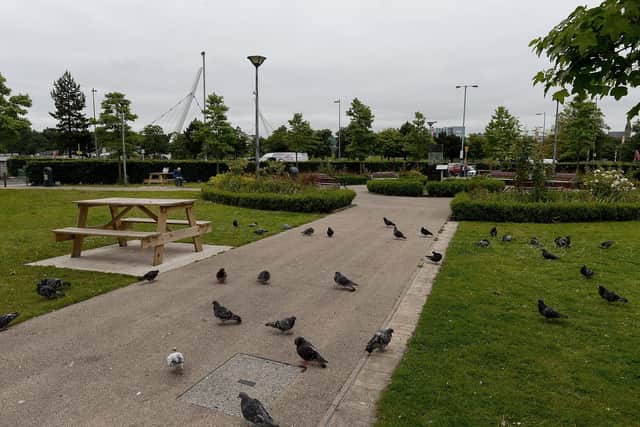 Peace Garden, Foyle Street. DER2126GS - 043