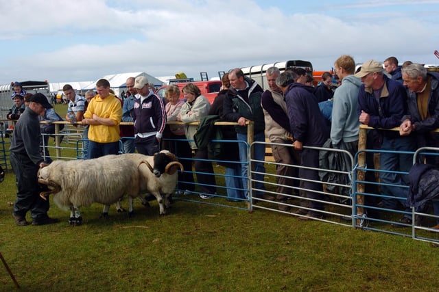 spectators wathc the sheep judging take place at Clonmany Show. (0508A02) : Clonmany Festival, Vintage Show, Agricultural Show and Raft Race in August 2005.