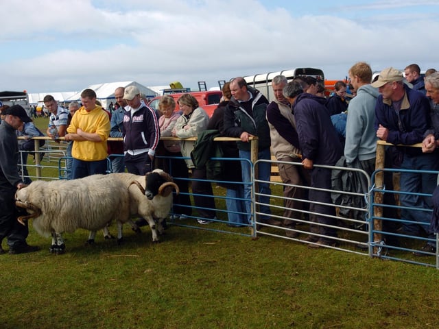 spectators wathc the sheep judging take place at Clonmany Show. (0508A02) : Clonmany Festival, Vintage Show, Agricultural Show and Raft Race in August 2005.