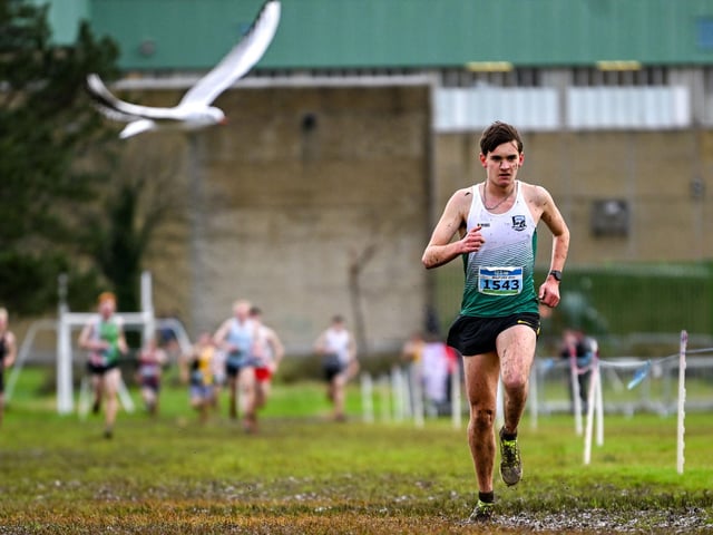 Noah Harris of Parnell AC, Wicklow, on his way to winning the under 20 men's 4500m race during the 123.ie National Cross Country Championships at Templemore Sports Complex in Derry. Photo by Ramsey Cardy/Sportsfile