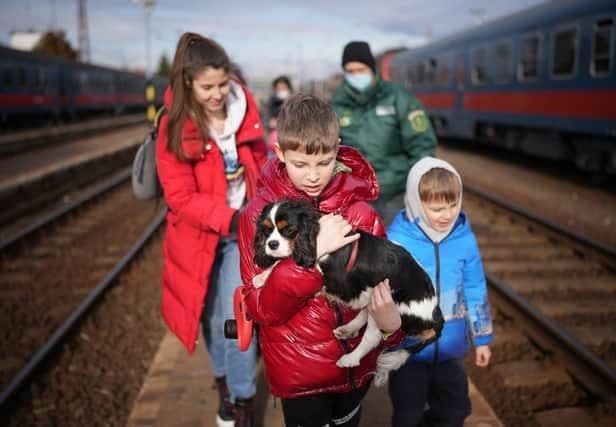 ZAHONY, HUNGARY - MARCH 02: Refugee Kyryl (surname withheld) aged 9, from Kyiv arrives with his pet dog Hugo at the Hungarian border town of Zahony on a train that has come from Ukraine on March 02, 2022 in Zahony, Hungary. Refugees from Ukraine have fled into neighbouring countries such as Hungary, forming long queues at border crossings, after Russia began a large-scale attack on Ukraine on February 24, 2022. (Photo by Christopher Furlong/Getty Images)