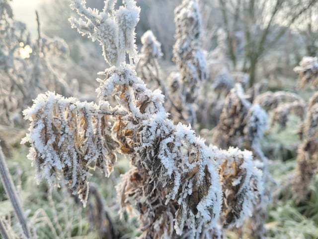 .:Winter walk on the Bay Road