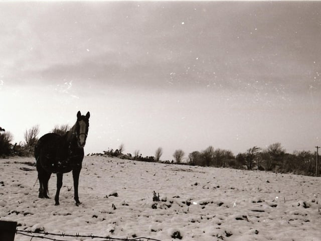 Photos from Derry and Donegal back in December 1984.