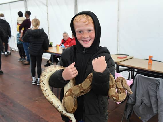 Young man bravely holding a snake at the Muff Féile. Photo: George Sweeney
