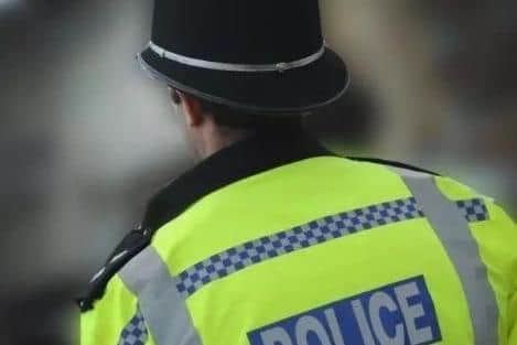 Two children aged 11 and three have been named as victims  