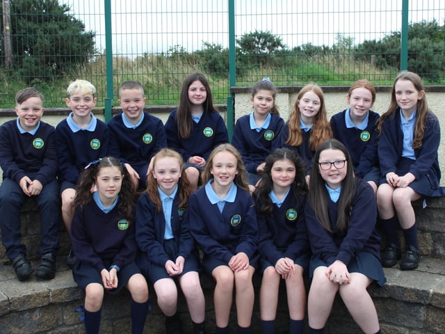 Faughanvale PS