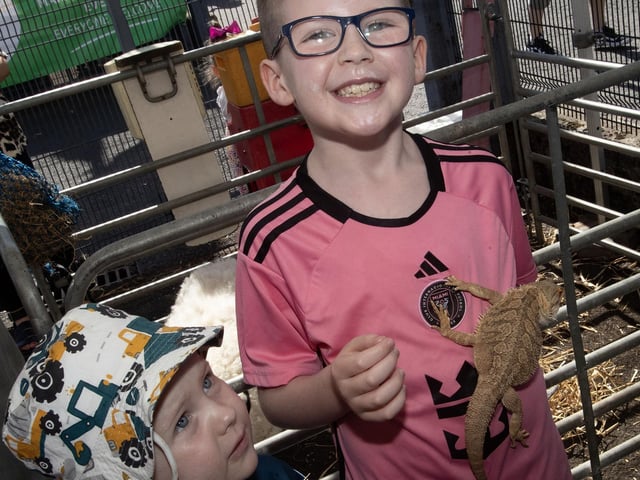 THERE'S A LIZARD CRAWLING UP YOU!. . . .Young Luca Toland having fun at Saturday's Party in the Park at Pilot's Row on Saturday. (Photos: Jim McCafferty Photography)