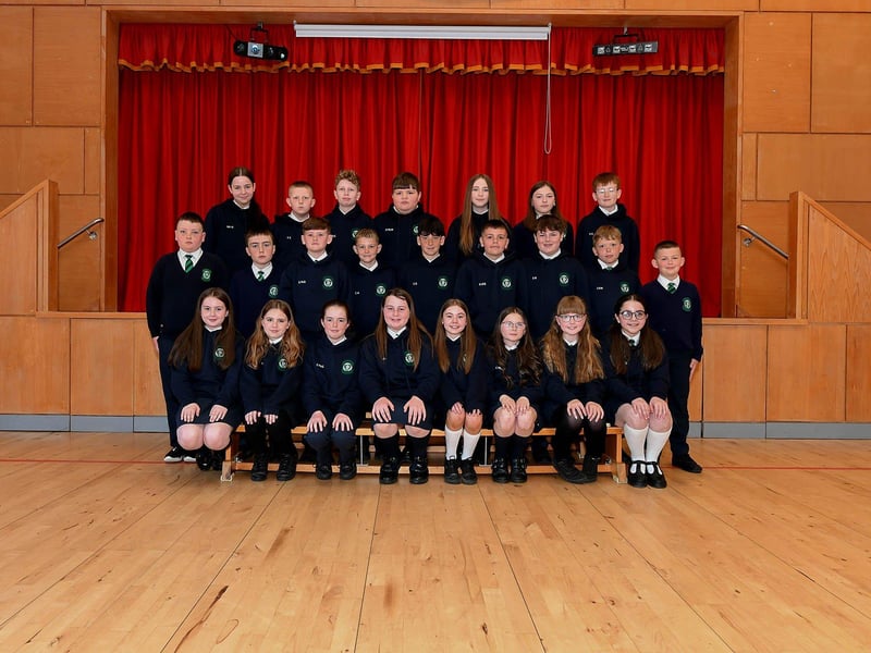 Mr Bradley’s P7 class at St Patrick’s Primary School.