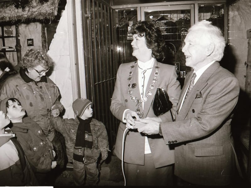 Austin's Christmas Lights Switch on 1993.