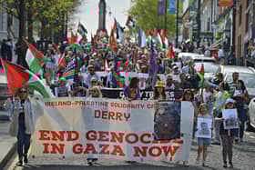 Supporters take part in a Freedom for Palestine march and rally on Saturday afternoon.  Photo: George Sweeney