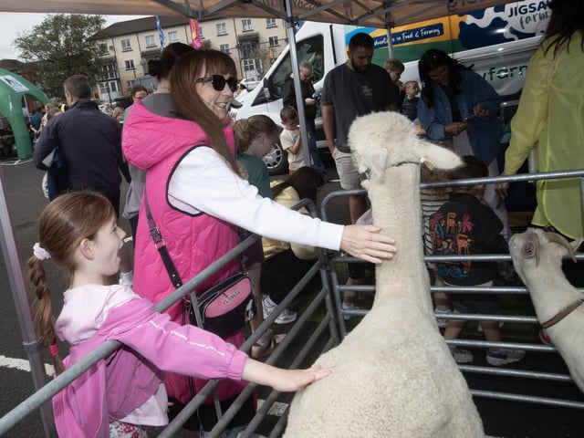 Enjoying the animals at the Feile '25s Party in the Park (Big Bog BBQ) in Pilot's Row on Saturday. (Photos: Jim McCafferty Photography) : .
